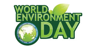 Sep 25, 2017 · enjoy trivia? World Environment Day Quiz Proprofs Quiz