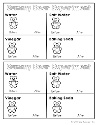 Osmosis is the diffusion of water across a semi permeable membrane. Gummy Bear Experiment Pdf Google Drive Gummy Bear Experiment Cool Science Experiments Science Experiments Kids