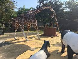 Located just at the junction of federal route and federal route, it is known for its many outlets selling pottery and other crafts. Tropical Village Ayer Hitam 2021 All You Need To Know Before You Go Tours Tickets With Photos Tripadvisor