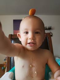 Has anyone tired the toddler meals by Gerber