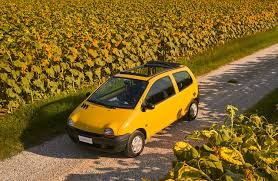 Image result for Marron 1995 Renault
