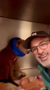 #angel is making progress at Mabank Veterinary Clinic ❤️🎉🙏💯