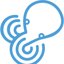 Logo Octopus8