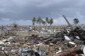 The 2004 tsunami was also a wakeup call for the indian earth scientists' community to take up research on this new coastal hazard. Marking 15 Years Since The Indian Ocean Tsunami 2004 World Animal Protection