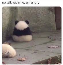 Chub Chub Needs A Hug Hug Meme Guy