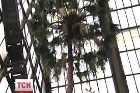 Миколаїв 21 червня 2021 р. Svyatoslav Vakarchuk Predstavil Videoversiyu Proekta Oranzhereya Video Glamur Tsn Ua