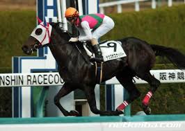 父名 サウスヴィグラス 母父名 マンハッタンカフェ の競走馬検索 競馬データベース Netkeiba Com