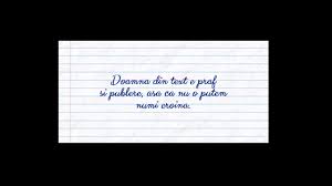 Toate sunt super principale și îmi e jenă să aleg. Perle Bacalaureat 2019 Simulare Youtube