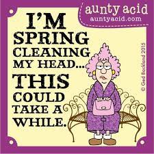  I M Spring Cleaning My Head This Could Take A While Etsy Danahm1975 Jewelry Cleaning Quotes Funny Funny Quotes Spring Cleaning Quotes