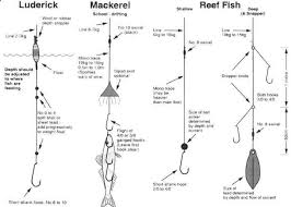 Diagrams Of Fishing Knots Schematics Online