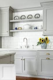 Best Kitchen Cabinet Doors Whitekitchens And Cabinetdoors Grey Kitchen Cabinets Best Kitchen Cabinets Kitchen Trends