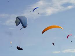 Resultado de imagem para como escreve voo livre