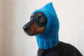 Knitting Pattern Small Dog Hat Mini Dachshund Hat Pet Etsy In 2021 Dachshund Hat Dog Hat Crochet Dog Clothes