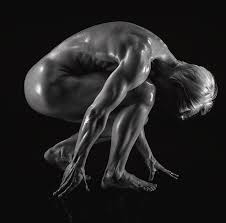 Naked Female Body Builder Photograph by Panoramic Images - Pixels