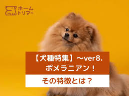 ホームトリマー