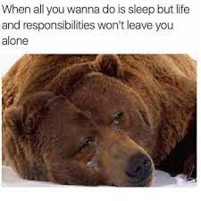 Top Funniest Memes For September 50 Pictures
