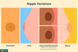 Maybe you would like to learn more about one of these? Nipple Types Common Flat And Inverted
