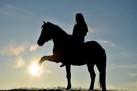 Today hunkapi offers therapeutic riding, emotional regulation, equine assisted psychotherapy , and other services for both children and adults. Hd Wallpaper Horse Huf Pony Animal Silhouette Human Girl Reiter Sun Wallpaper Flare