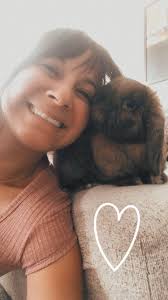 Lost my 9 yr old boy Gus to liver cancer, cushings syndrome and kidney  failure last sat Nov 30. He was diagnosed April 2022. There is no cure  where we are. Also