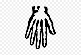 Check spelling or type a new query. Foam Skeleton Hand Suavecito Hair Pomade Barber Products Skeleton Hand Png Stunning Free Transparent Png Clipart Images Free Download