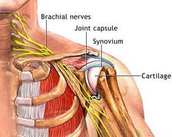 Image result for remedial massage frozen shoulder