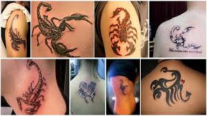 Maybe you would like to learn more about one of these? 15 Latest Meaningful Scorpion Tattoo Designs With Pictures