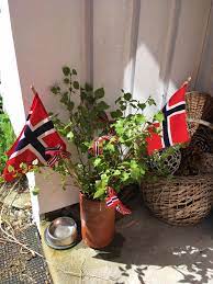Free norge vs tyrkia live stream på nett tv 2. Fra Norge Til Tyrkia