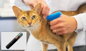 Animal tracker pet microchip register. All 10million Cats In Uk Must Be Microchipped To Combat Rising Thefts Daily Mail Online