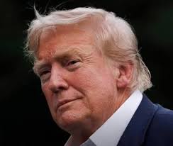 Liz Cheney/Adam Kinzinger Against Trump