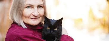 Tackling Fraudulent Emotional Support Animals