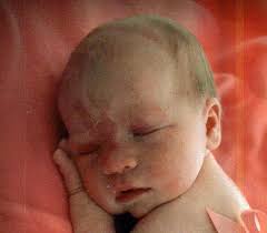 Lana Annmarie Morell (2011-2011)