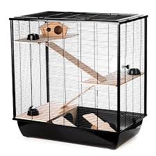 In erster linie geht es darum die ratten. Rattenkafig Wir Haben Den Test Gemacht Haustierratgeber