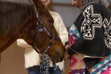 Healing Through Horses Retreat