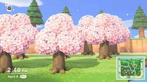More images for how to get pink trees in animal crossing » How To Get A Cherry Blossom Tree Acnh Animal Crossing New Horizons Switch Game8