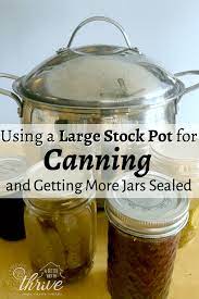 I can always find something that needs to be improved or changed. Using A Large Stock Pot For Canning A Better Way To Thrive