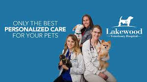 The retriever breeds were created to be companion dogs. Lakewood Veterinary Hospital Reviews Facebook