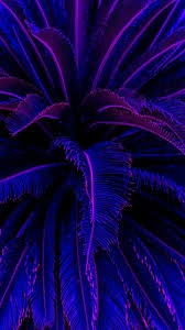 Eco, nature, plant lover background. Tropical Background And Wallpaper Image 7033260 On Favim Com