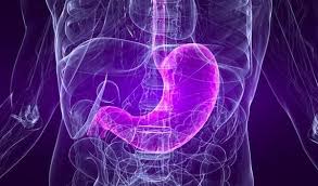 Stomach cancer most commonly begins in the cells that line the inside of the stomach. Pin On Healthy Lifestyle