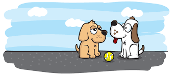 Treat your dog to a day of fun with his or her furry friends. Play Groups Doggy Dates