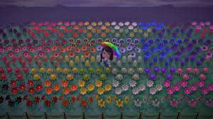 Lunaria Animal Crossing New Horizons Rainbow Flower Garden