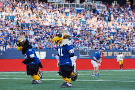 He's an energetic bird who loves to dance at home games and make public appearances. Winnipeg Blue Bombers On Twitter Just A Friendly Reminder That Buzz Boomer Are Beautiful Unlike A Certain Rodent
