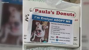 Let us help you smile everyday beside the love of your life… rock n' rescue helped me adopt both of my 2 cats a year apart. Animal Rescue Paula S Donuts Attempt To Find Pets Forever Homes Wgrz Com