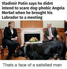 Putin actually doesn't need another puppy. Vladimir Putin Says He Didnt Intend To Scare Dog Phobic Angela Merkel When He Brought His Labrador To A Meeting Scare Meme On Me Me