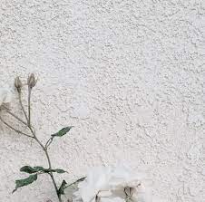 We have 28 images about background keren including images, pictures, photos, wallpapers, and more. Background Bunga Rustic Bunga Keren White Aesthetic Tumblr Flower Hd Wallpapers Source Www Elsetge Cat 102 Best Wallpaper Bunga Bunga Dahlia Gambar Bunga