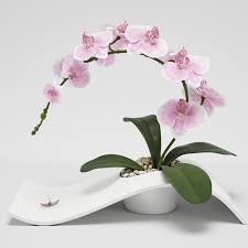 Orchid Arrangement 3d Model Orchid Arrangements Orchids Arrangement