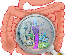 Photo de sang dans les selles. Du Sang Dans Les Selles Dois Je M Inquieter Natur Ayur