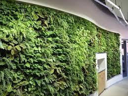 Arch Nexus Green Wall Green Wall Wall Lights Living Wall