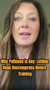 Koru K9 Dog Training