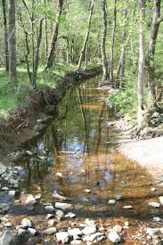 Reed Family Gold Little Meadow Creek Runs The Length Of The Reed Property It Was Here In 1799 That 12 Yea Panning For Gold Gold Prospecting Gold Mining