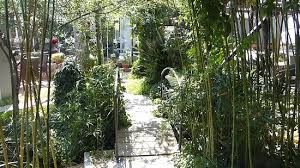 Diy garden wooden garden dream garden garden paths garden bridge garden landscaping small bridge old bridges arch bridge chinese garden covered bridges water features belle. Garden Bridge Picture Of Enasma Cafe Chania Town Tripadvisor